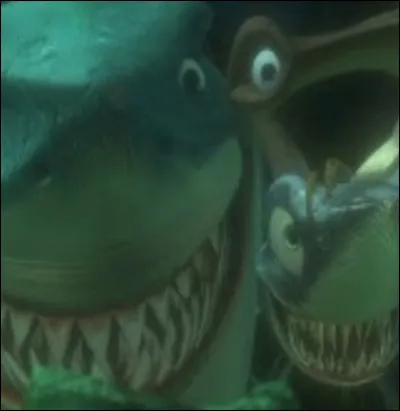 "Attention ! Il y a des ... !"