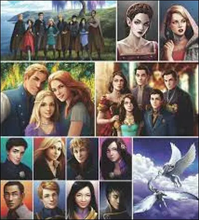 Quelle organisation rejoindrais-tu ?