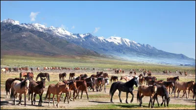 En équitation on gagne...