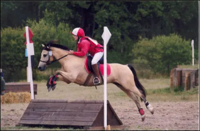 Les trois activités qu'on retrouve en concours sont...
