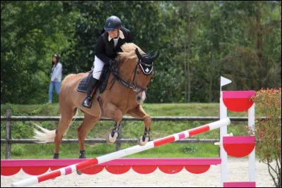 Au saut d'obstacles on saute...