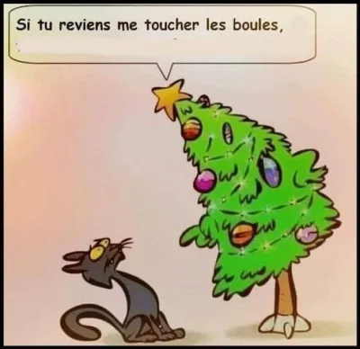 Je vous laisse finir la phrase du joli sapin de Noël !