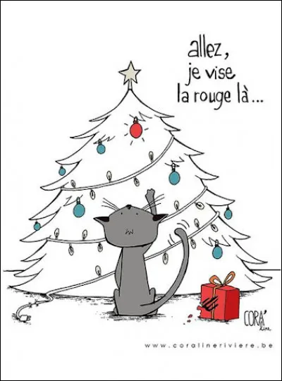 Que devient un chat, tombé dans un pot de peinture le 25 décembre ?