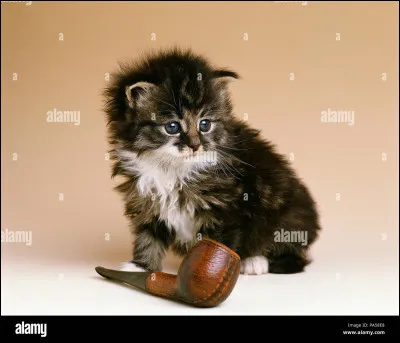 Si tu étais mort, ce serait dans :