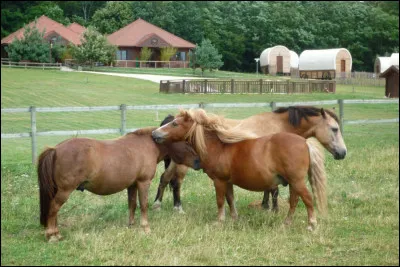 Que faut-il obligatoirement pour monter dans un centre équestre ?
