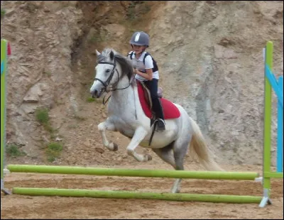 Combien existe-t-il de robes de base ?