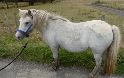 Dans quel ordre les brosses sont-elles utilisées ?
