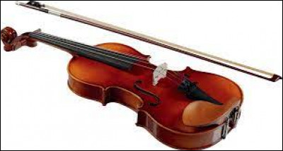 L'archet, un objet avec lequel on joue du violon, est fabriqué à partir de crin d'animal, mais lequel ?