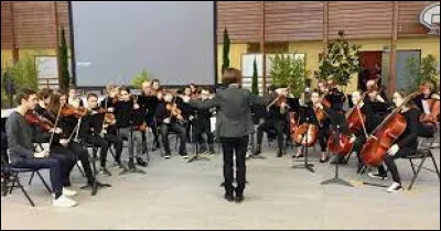 Parmi l'alto, le violon, le violoncelle et la contrebasse (c'est-à-dire tous les instruments composant un orchestre à cordes), lequel est le plus petit et avec lequel le son peut monter le plus haut possible ?