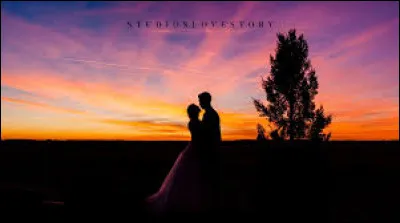 "Love Story" est joué par Ali MacGraw.