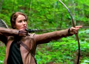 Quiz Hunger Games