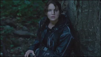 Qu'envoie Seneca Crane pour que Katniss se rapproche d'autres tributs ?