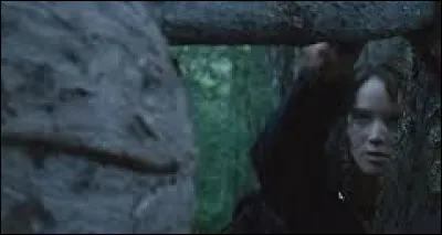 Comment Katniss arrive-t-elle &agrave; fuir du grand arbre ?