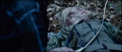 Quel tribut meurt &agrave; cause des piq&ucirc;res caus&eacute;es par les g&ucirc;epes tueuses ?