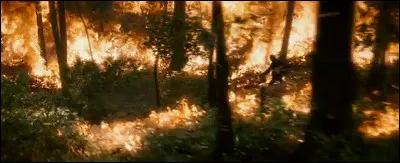 Comment Katniss arrive-t-elle &agrave; faire exploser les mines ?