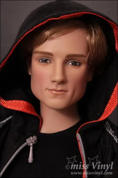 Quel tribut masculin du district 12 a &eacute;t&eacute; tir&eacute; au sort ?