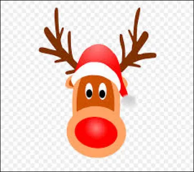 Comment s'appellent ses rennes ?
(Citez les mâles)