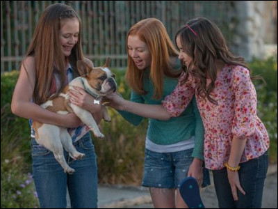 Comment s'appelle le chien qui a disparu lors de la recette du pain retrouvé ?