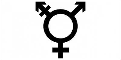 À quel groupe doit-on le tube "3e sexe" sorti en 1985 ?