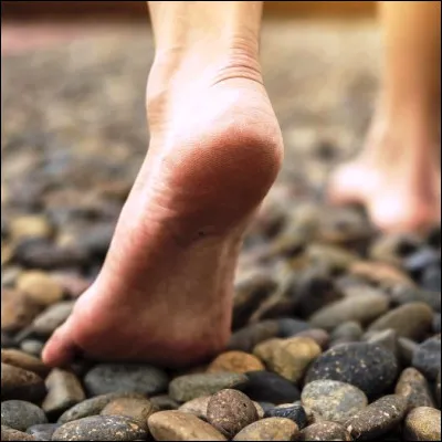 Comment sappelle le plus volumineux des os du talon ?