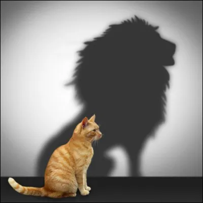 Commune du département de Tarn-et-Garonne, située en bordure du Tarn, au sud de Montauban :