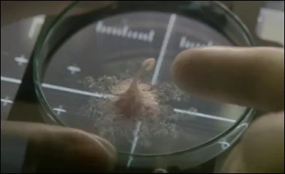 Dans quel film cet alien est-il visible ?