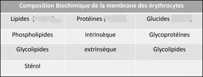 La membrane cellulaire est composée de lipides à environ...