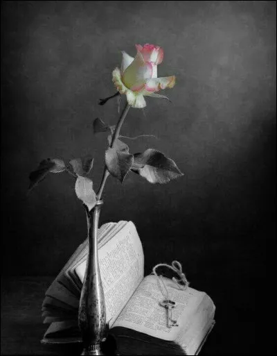 Qui a dit "Je pense, donc je suis" ?