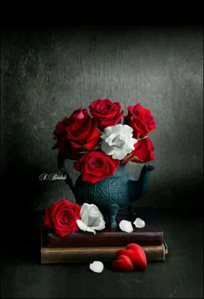 De quoi l'auteur fait-il l'apologie, dans le livre "Pensées" cité en question 2 ?