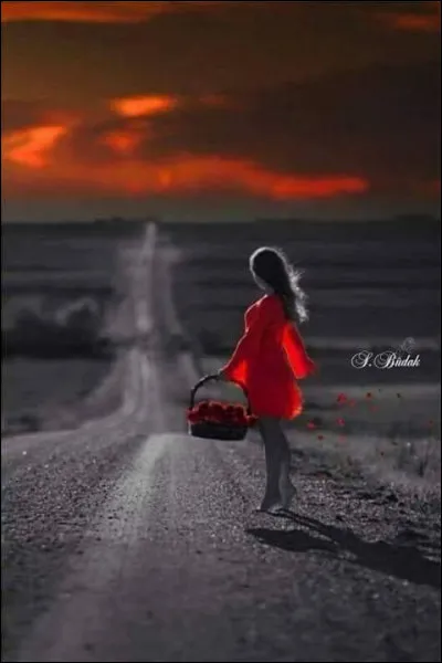 À quel chanteur devons-nous les paroles "Je pense encore à toi" ?