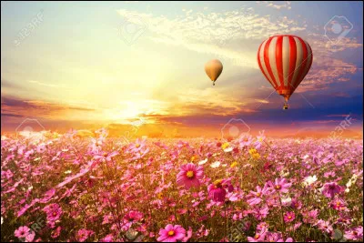 Quelle fleur préfères-tu ?