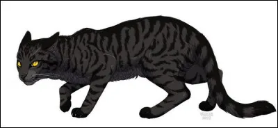 Je suis un éclair ancien membre du tonnerre, passant dans la nuit noire. 
Qui suis-je ?