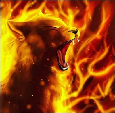 (question qui n'a pas de rapport) Quels sont les différents nom de Rusty ?