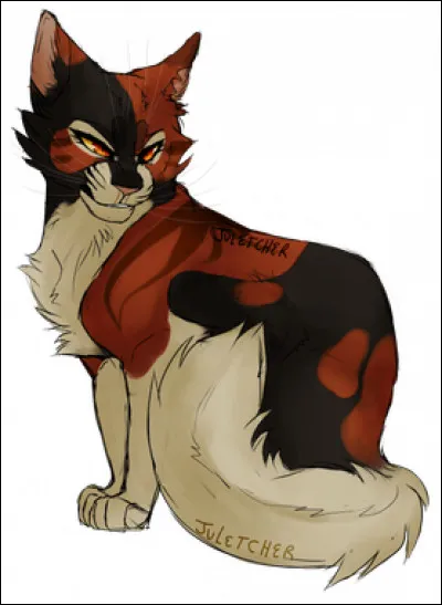 Je suis amoureuse d'un chat qui n'est pas né dans le même clan que moi ; pourtant, ce n'est pas un amour interdit. Mon père, mon frère, mon compagnon et un de mes fils sont tous les quatre devenus chefs. 
Qui suis-je ?