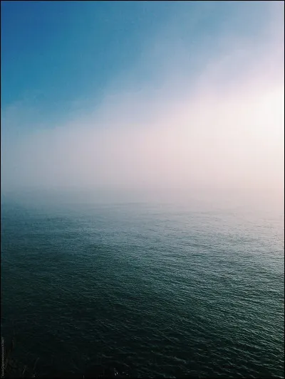 Que sont les demoiselles de Cherbourg ?