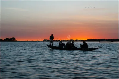 Afrique, parmi ces trois fleuves d'Afrique, lequel est le plus long ?