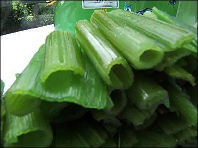 Angélique : quelle ville en revendique la spécialité ?