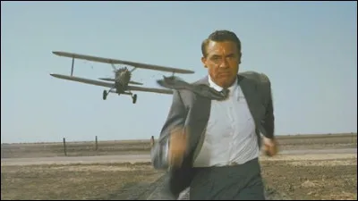 Dans le film "La mort aux trousses", la scène de l'avion d'épandage est un must de lhistoire du cinéma. Quel est le réalisateur ?