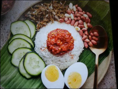 De quel pays le nasi lekam est-il une spécialité asiatique ?