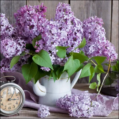 Botanique : de quelle famille est le lilas ?