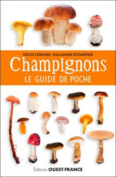Toxique : lequel de ces trois champignons est toxique, voire mortel ?