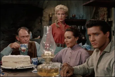 Dans "Les Rôdeurs de la plaine" (1960), Elvis Presley incarne Pacer Burton, le fils d'un fermier et d'une femme Kiowa. Qui est le réalisateur de ce film ?