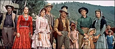 Dans "La Dernière Caravane" (1956), un aventurier et meurtrier, Todd (Richard Widmark), guide les survivants d'une caravane attaquée par les Apaches. Qui est le réalisateur de ce film ?