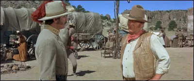 "Les Géants de l'Ouest" (1969) se déroule après la Guerre de Sécession ; le colonel John Henry Thomas a quitté l'armée nordiste et, avec ses anciens hommes, convoie jusqu'au Mexique les chevaux qu'il vient de vendre à l'Empereur Maximilien. Qui est le réalisateur du film ?