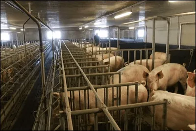 Commune de la Haute-Vienne, situ&eacute;e au sud de Limoges, dans la vall&eacute;e de la Briance :