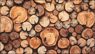 Où se passe la Guerre des clans ?