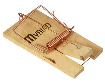 N'a même pas une taille de fillette, c'est la...