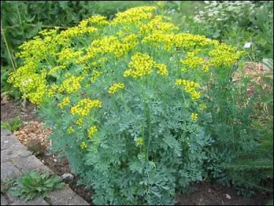 Domicile difficile, c'est la...