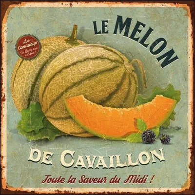 Melon : associ&eacute; &agrave; la ville de Cavaillon qui est devenue sa "capitale" ! Le plus connu est le melon appel&eacute; "Cantaloup" d'o&ugrave; il tient son histoire. Il aurait &eacute;t&eacute; introduit en France par Charles VIII &agrave; son retour de Cantalupo, o&ugrave; est cette ville ?