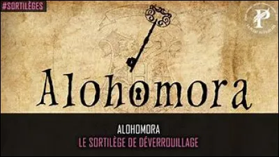 Quel est votre sort pr&eacute;f&eacute;r&eacute; ?